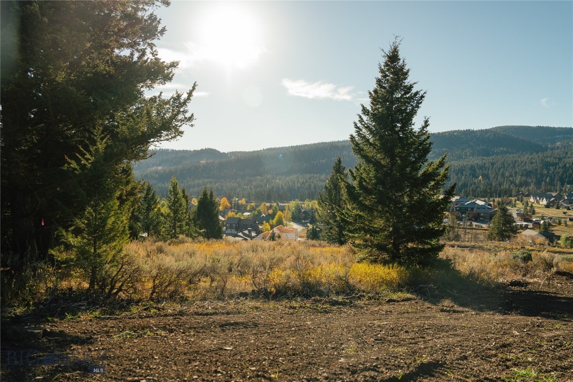 Upper Whitefish - Land