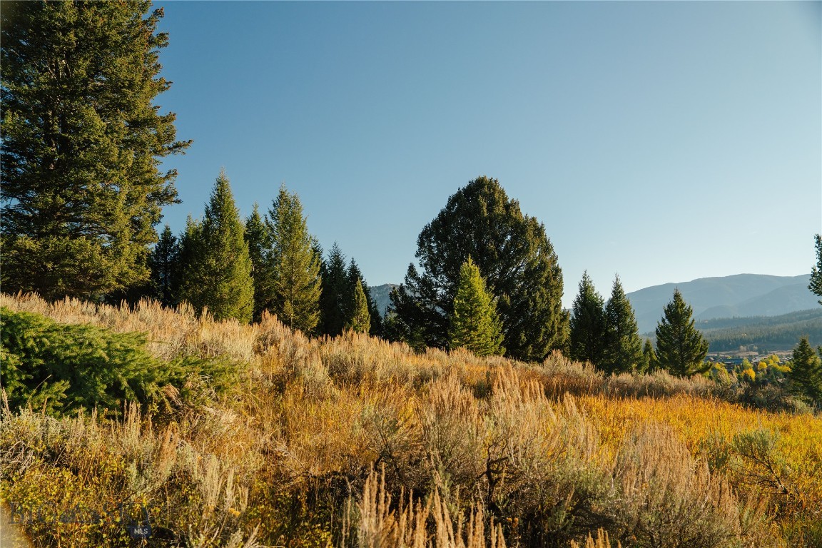 Upper Whitefish - Land