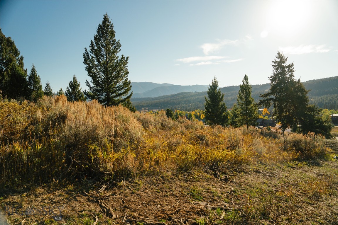 Upper Whitefish - Land