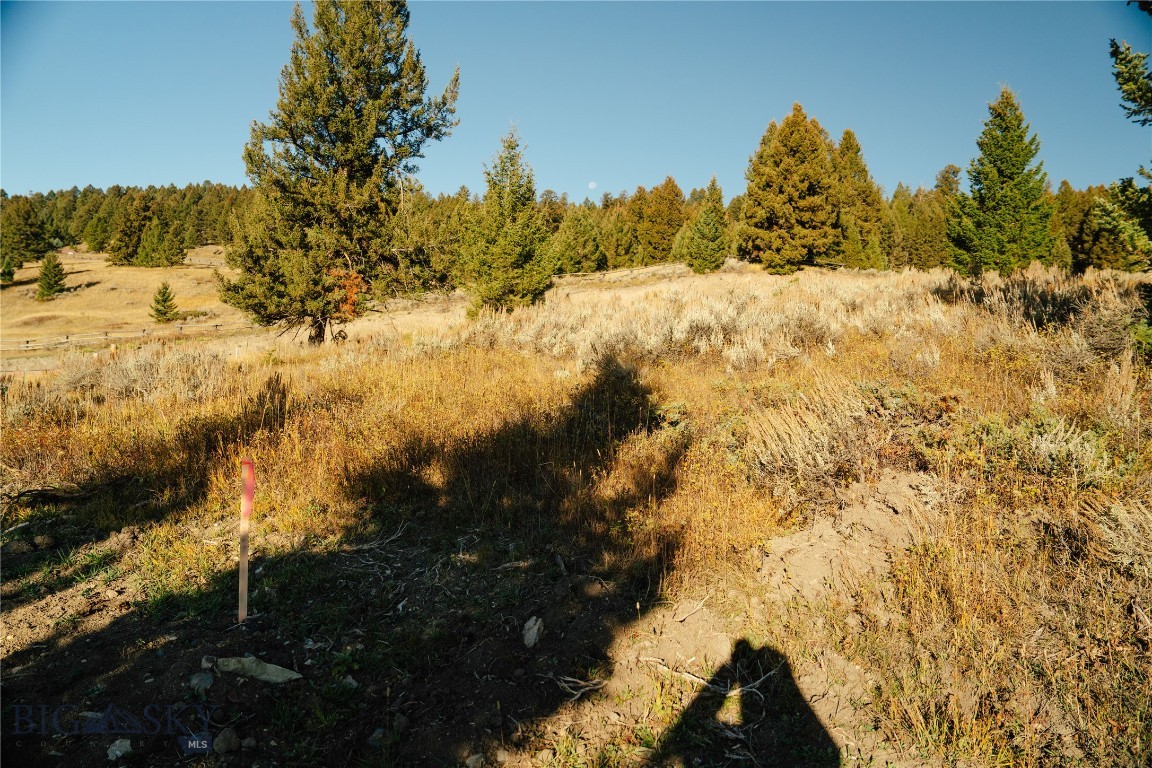 Upper Whitefish - Land