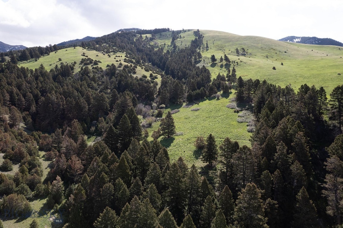 None - Farm