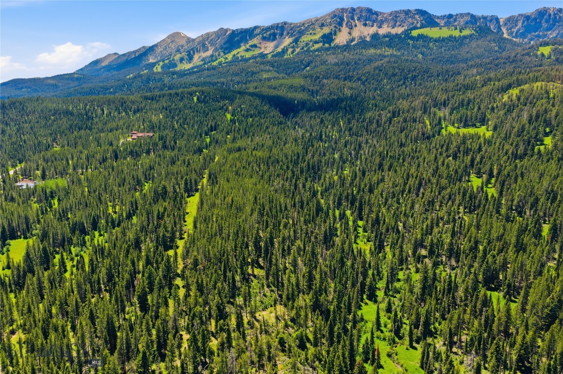 Bridger Park - Land