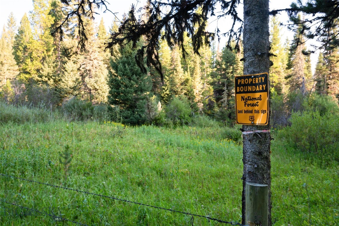 Bridger Park - Land
