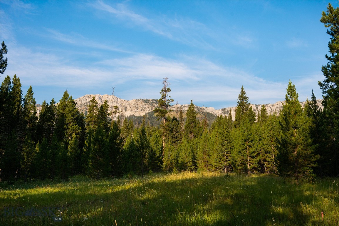 Bridger Park - Land