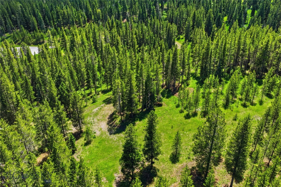 Bridger Park - Land