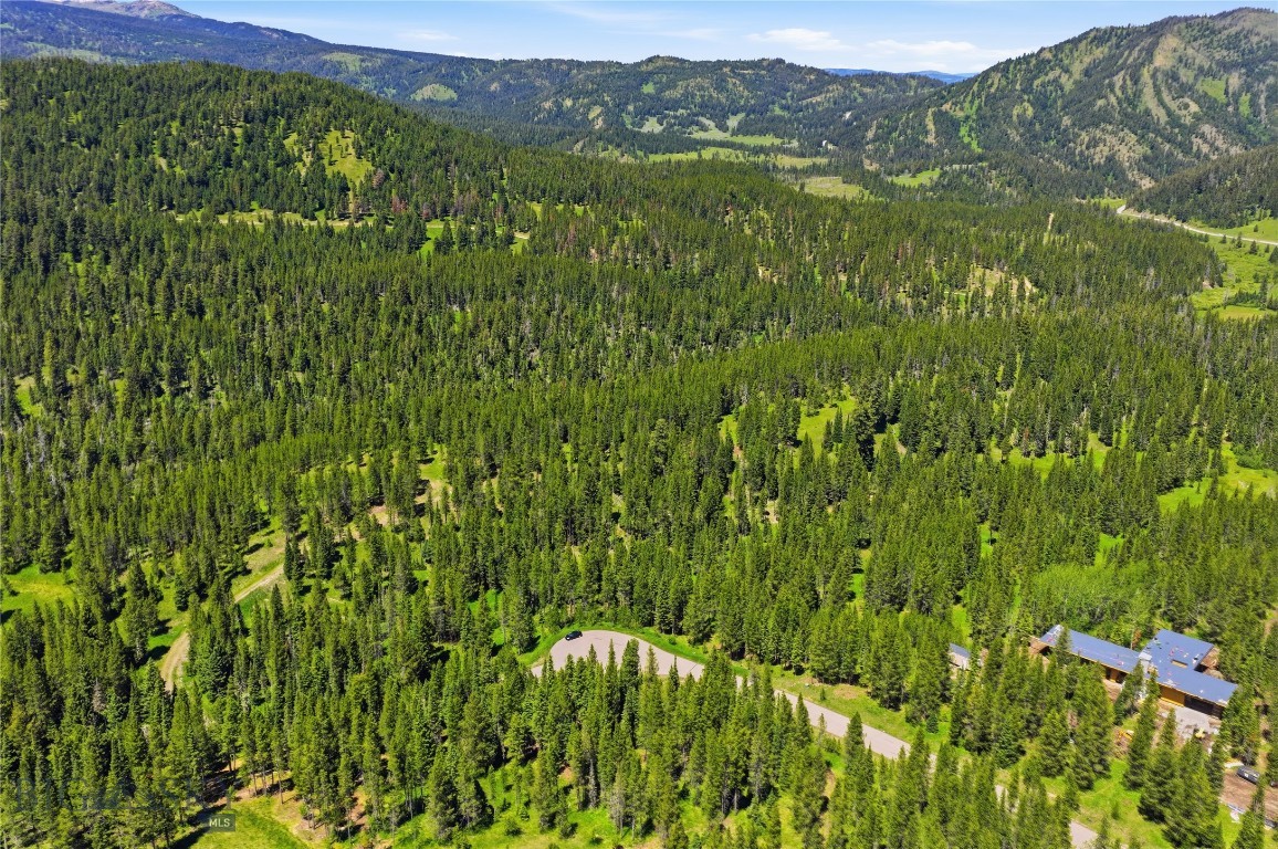 Bridger Park - Land