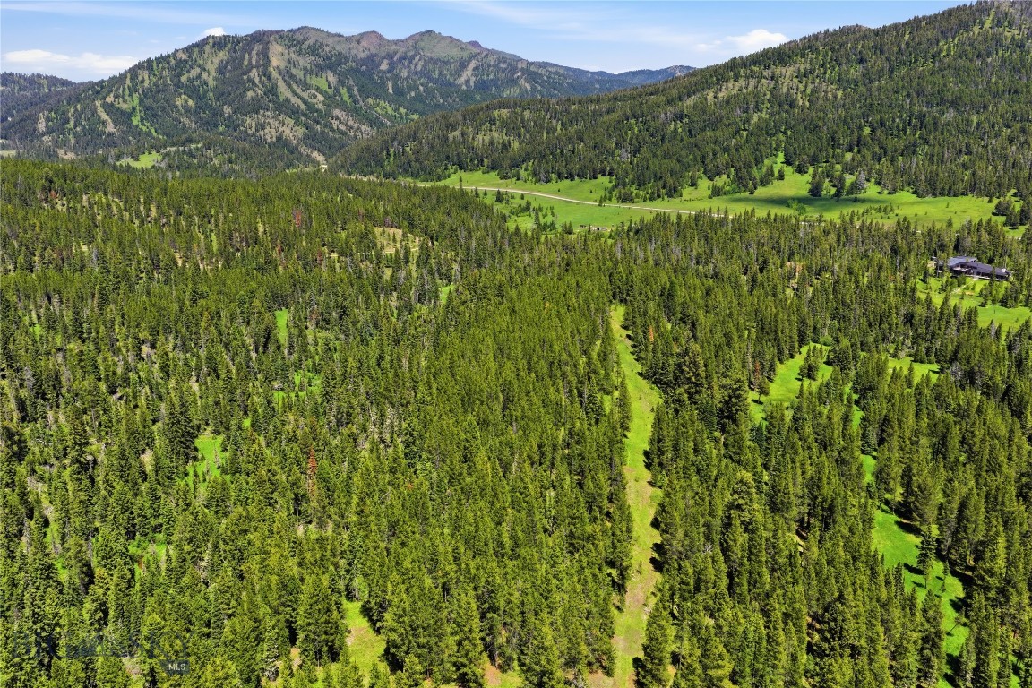 Bridger Park - Land