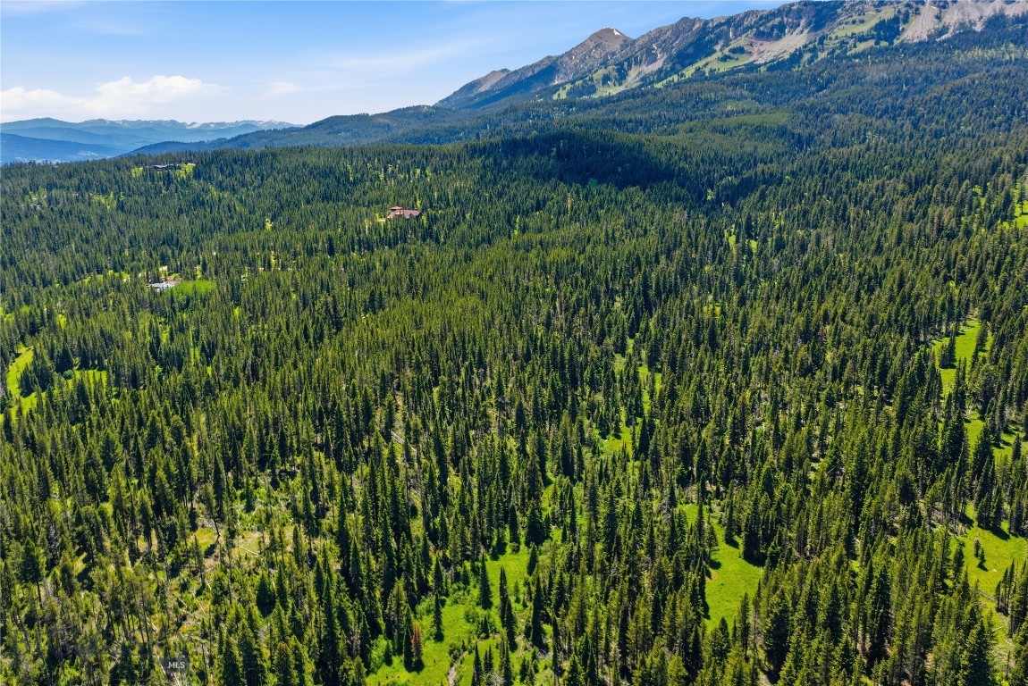 Bridger Park - Land