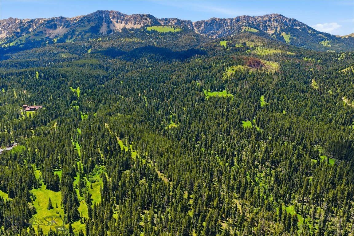 Bridger Park - Land