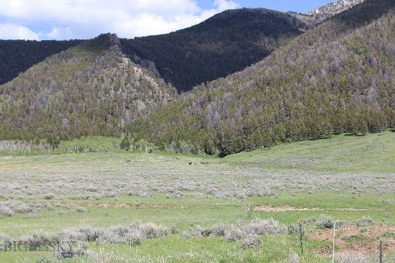 Sportsman's Paradise Lot A55 consists of 20.238 acres bordering National Forest!  It is a great recreational property in the south end of the Madison Valley near quake Lake with easy access to Sheep Creek Canyon area.  Sheep Creek ditch runs through the lots (but there are no water rights with this lot).  Spectacular views near great hunting, fishing, snowmobiling, hiking, trail riding, etc.  Seasonal access except by snowmobile in winter months.  Close to Cliff & Wade Lakes, the famous Madison River, and Yellowstone National Park.  Power is a few lots away and estimated around $10K to hook onto it.  The estimate for extending the road into Lot A55 is $60K.  Or build your off-the-grid cabin and get away from it all!  There are a few remnants of old homestead cabins on the property.  It adjoins Lot A54 which is also listed for sale for $240,000 (MLS