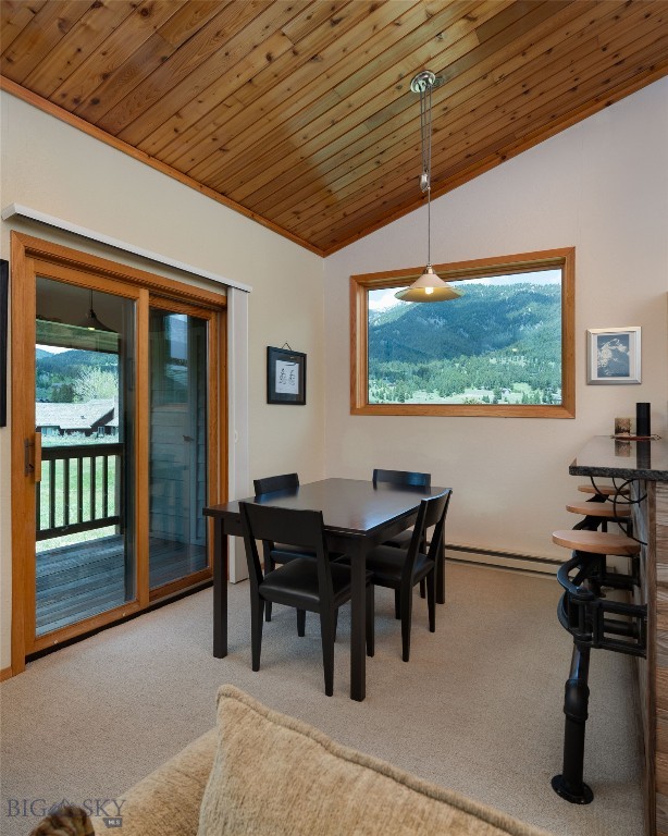 Teton Condo - Residential