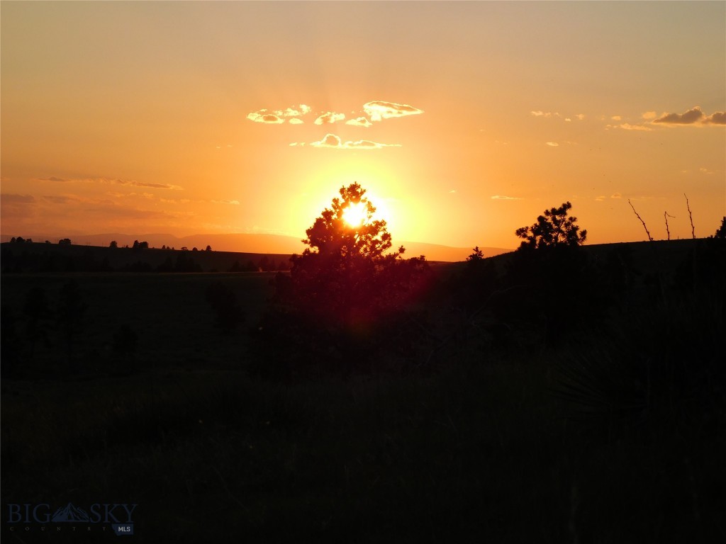 Other - Land
