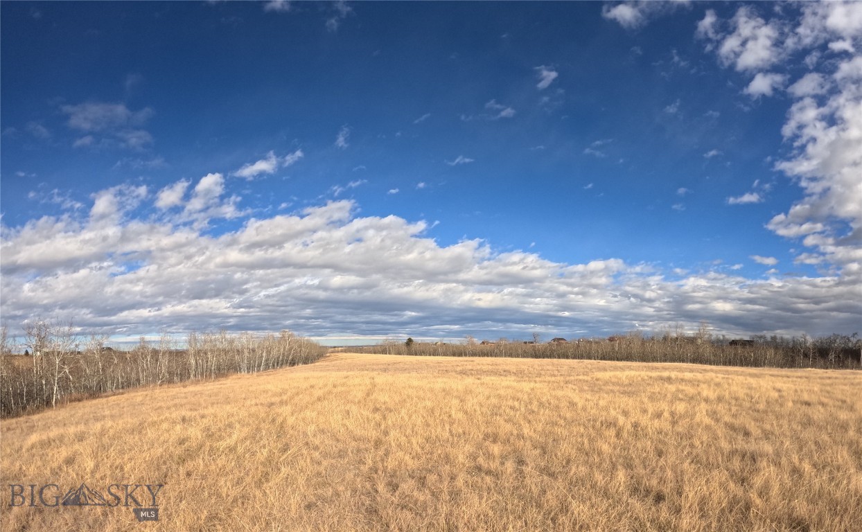 Other - Land