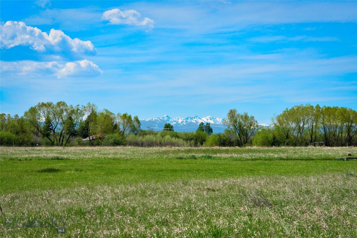 Cattail Creek - Residential