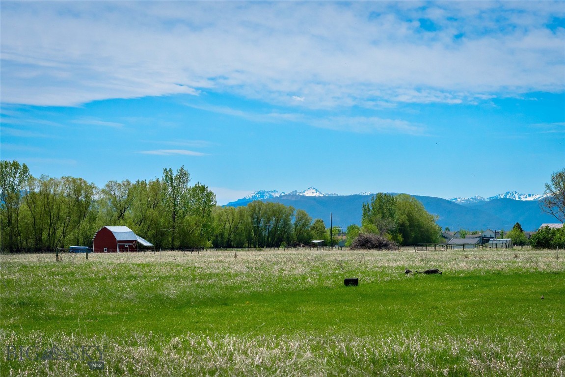 Cattail Creek - Residential