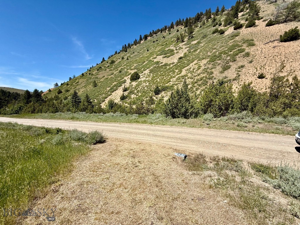 Ponderosa Pines - Land