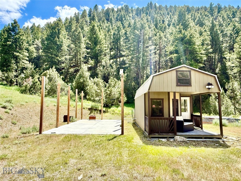 Ponderosa Pines - Land