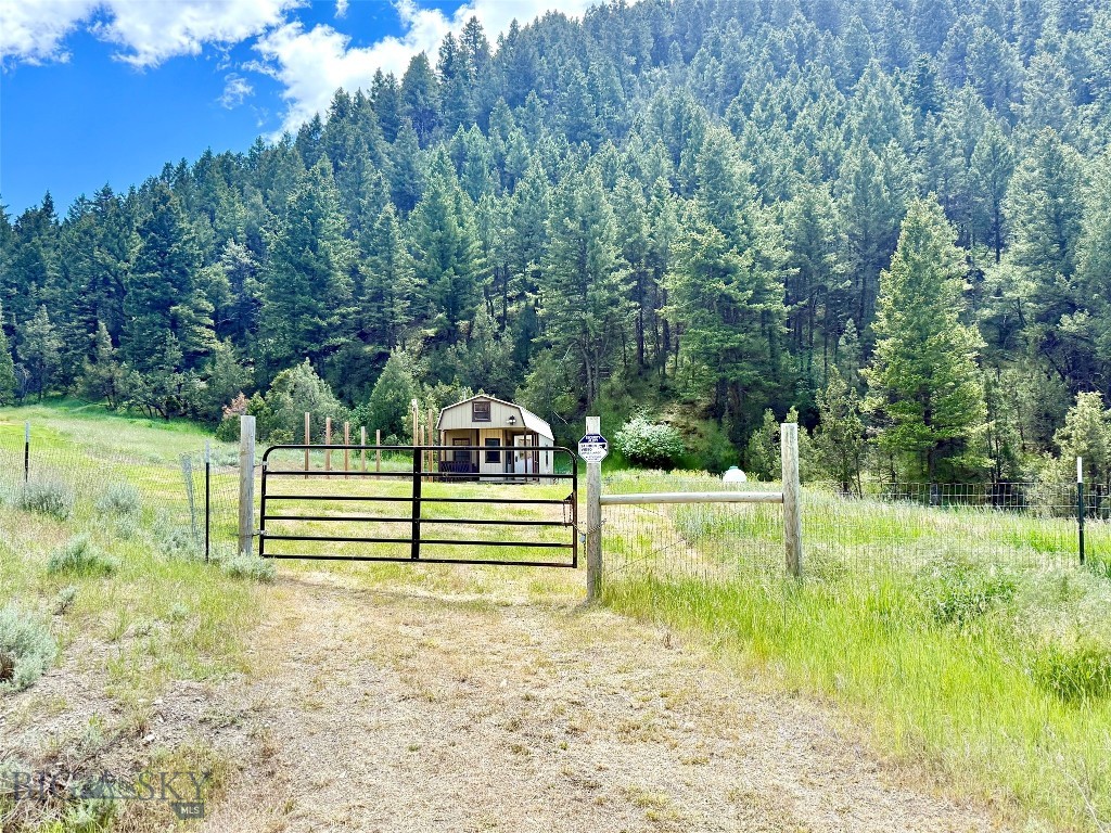 Ponderosa Pines - Land