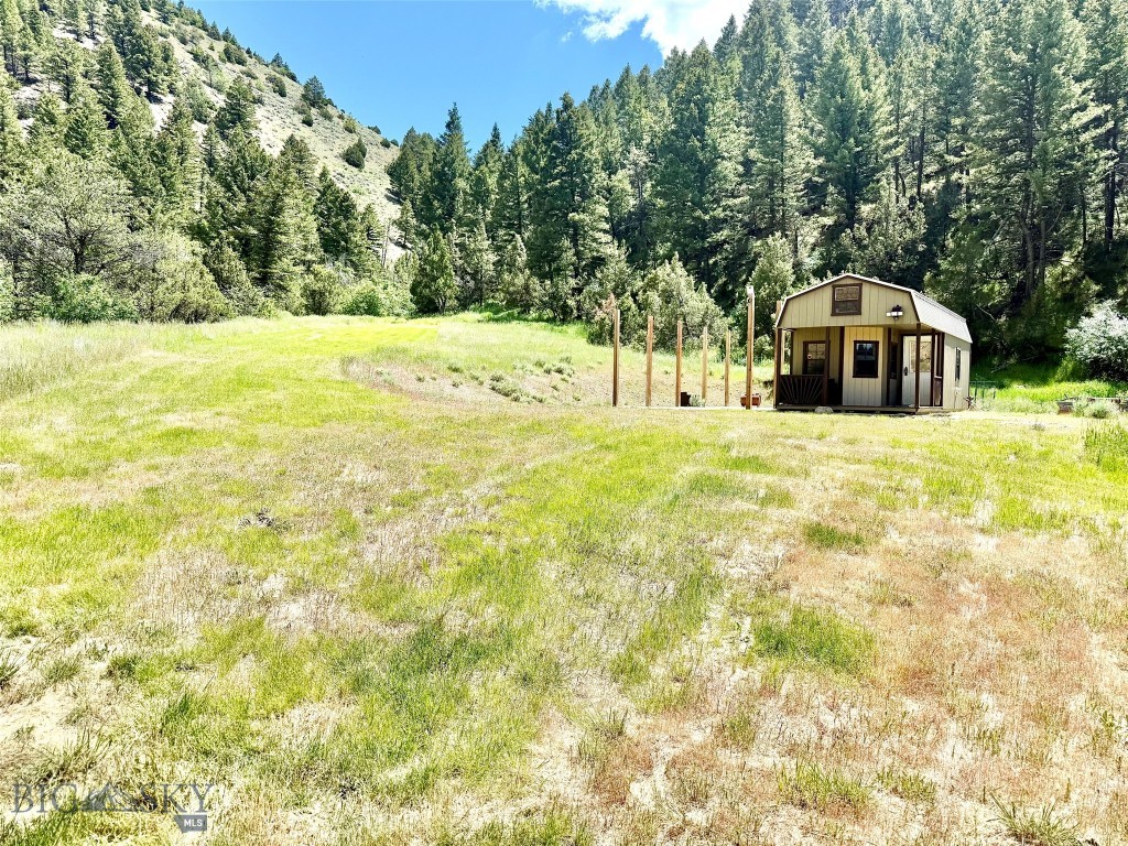 Ponderosa Pines - Land