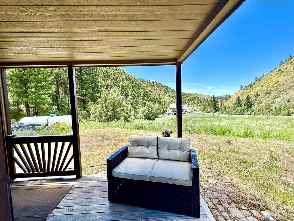 Ponderosa Pines - Land