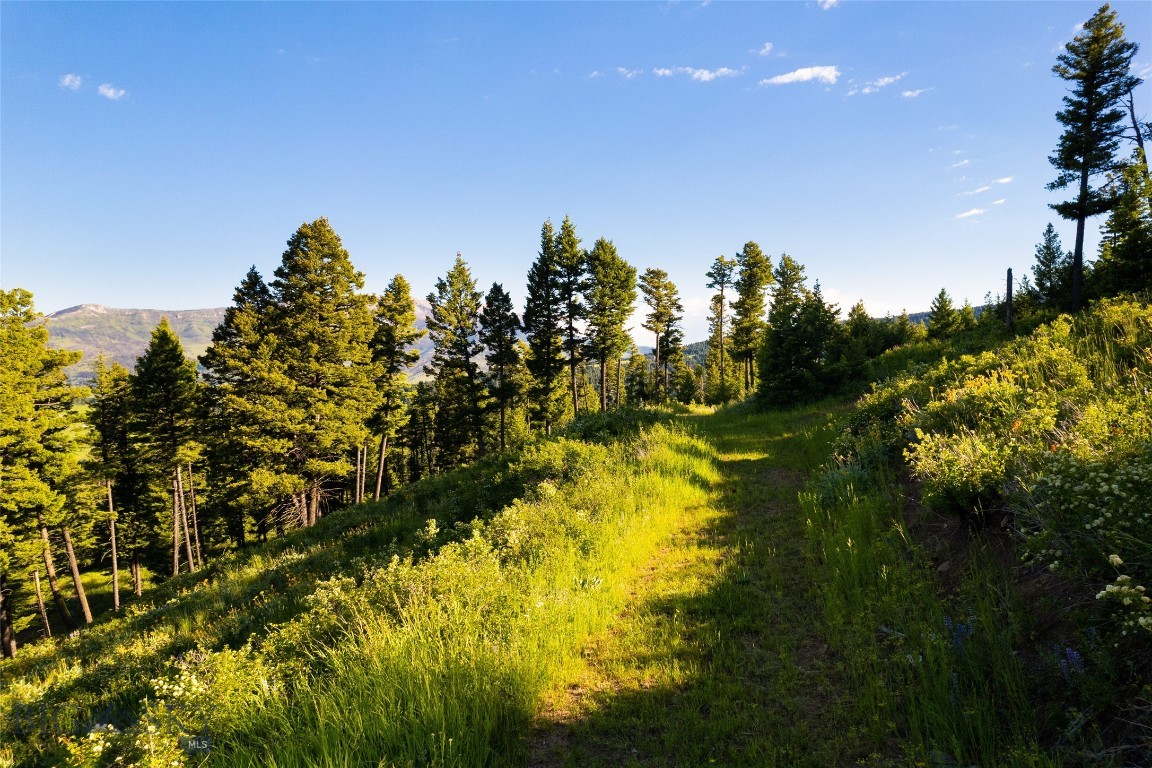 North Pass Ranches - Farm