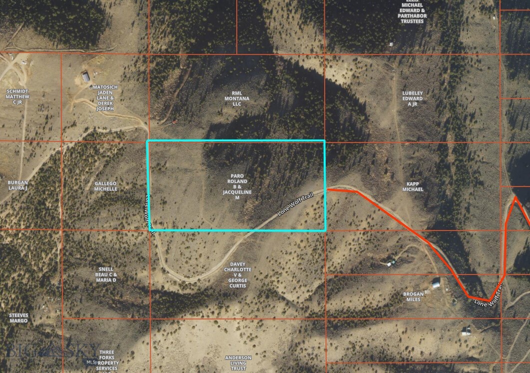 Ponderosa Pines - Land
