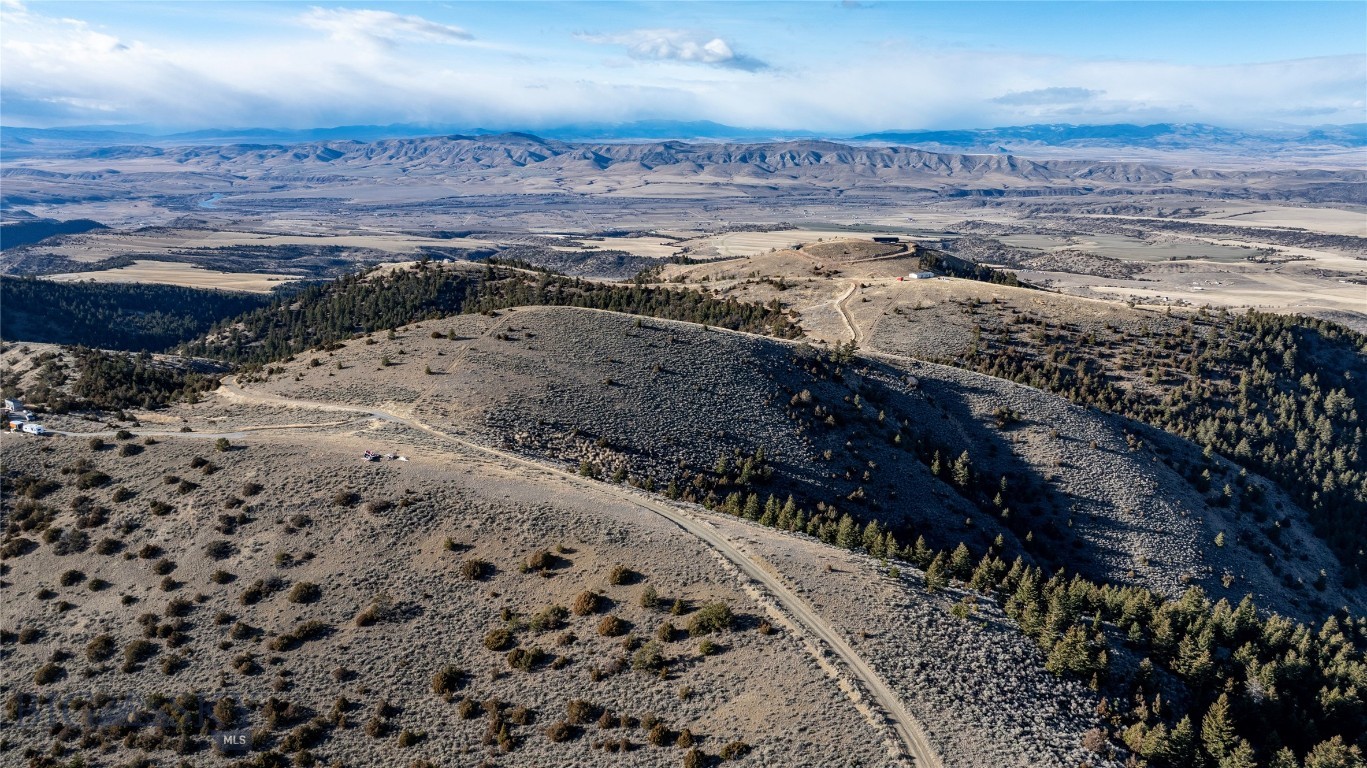 Ponderosa Pines - Land