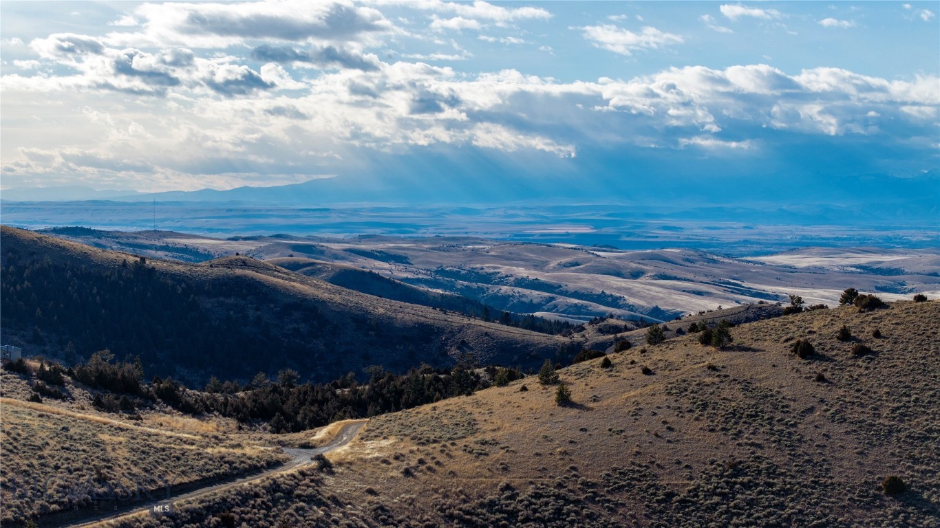 Ponderosa Pines - Land