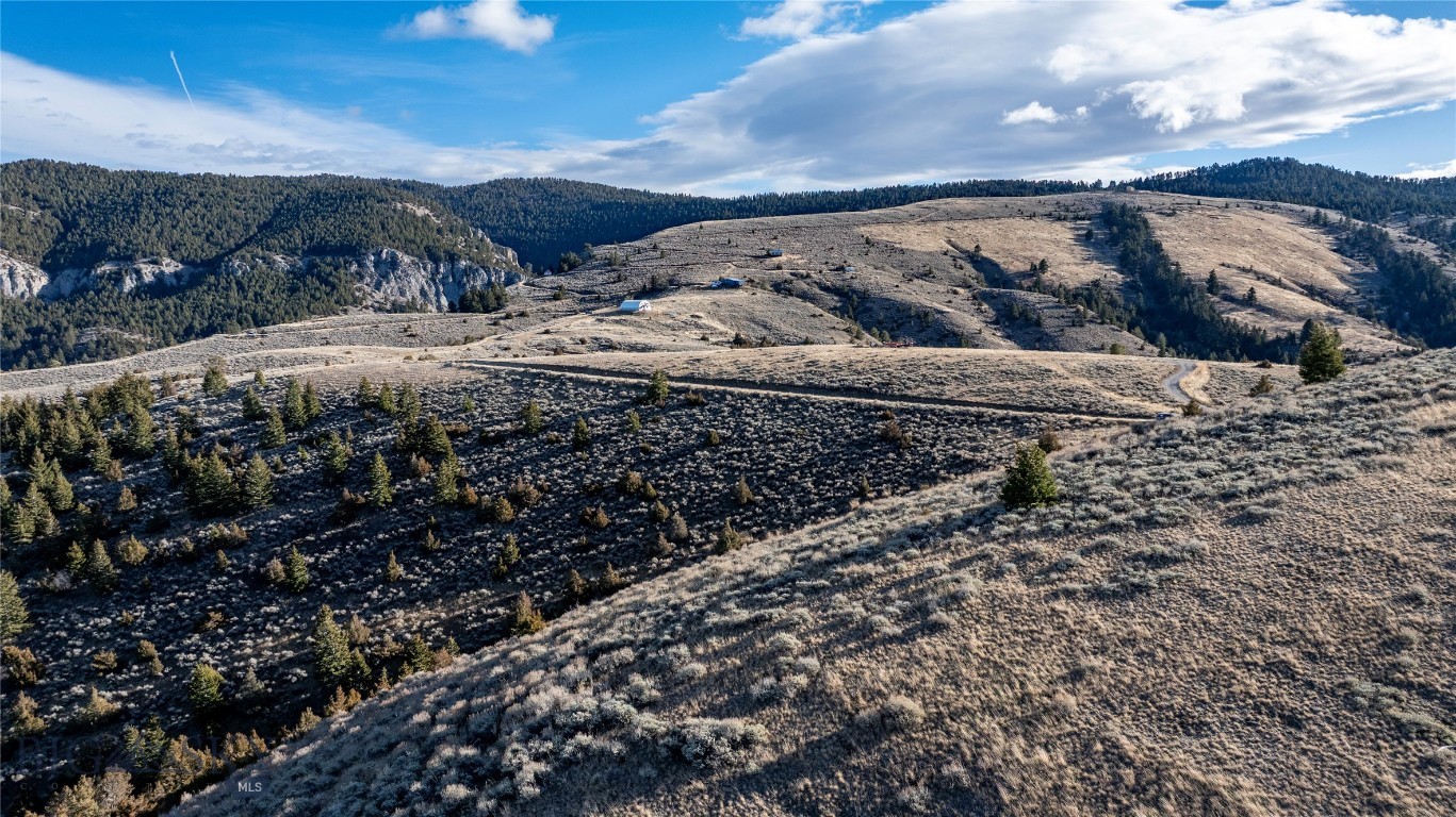 Ponderosa Pines - Land