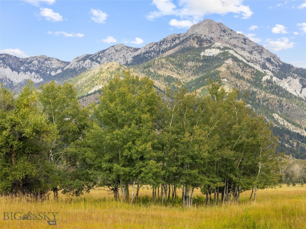 Rare Opportunity to Own Live Water in the Heart of Montana’s Most Scenic Mountain Valley

Discover an extraordinary offering of nearly 50 acres of pristine meadowland nestled against the breathtaking backdrop of the Bridger Mountains. Tucked away on a quiet dead-end road in the coveted Springhill Community, this remarkable property captures the essence of Montana living... private, peaceful, and surrounded by unparalleled natural beauty.

Live water is the crown jewel of this rare property. A crystal clear, mountain-fed creek flows along the southern boundary, while a year-round spring-fed stream borders the north, creating a truly exceptional setting rich in wildlife and serenity.

With the Bridger Mountains wrapping around three sides of the property, enjoy sweeping panoramic views stretching across the Gallatin Valley to the Spanish Peaks and Tobacco Root Mountains. Wildlife abounds here, with frequent sightings of moose, elk, deer, bear, fox, coyotes, sandhill cranes, pheasants, and grouse, making this property a dream for nature lovers, sportsmen, and conservation-minded buyers alike.

Ideally located just minutes from Truman Gulch and Corbly Gulch trailheads, and close to National Forest access, outdoor recreation opportunities are endless. Yet despite its secluded feel, the property remains conveniently close to both Bozeman and Belgrade.

Whether you envision building a legacy estate, creating a private ranch retreat, preserving the land through conservation, or investing in one of the Gallatin Valley’s increasingly rare live water properties, the possibilities here are truly limitless.

Protected by Springhill zoning designed to preserve open space, agriculture, wildlife corridors, and the area’s rural character, this property offers not only incredible beauty, but lasting value for generations to come.