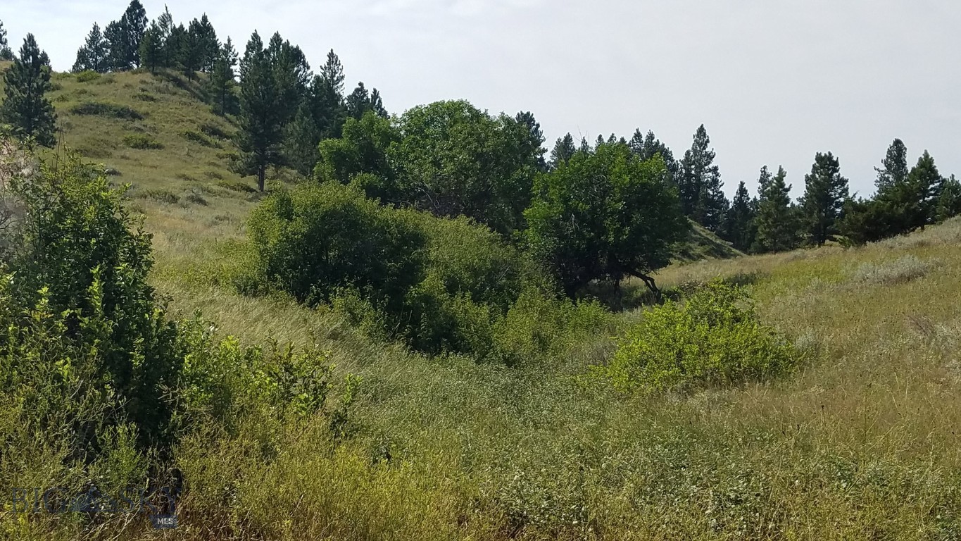 Other - Land