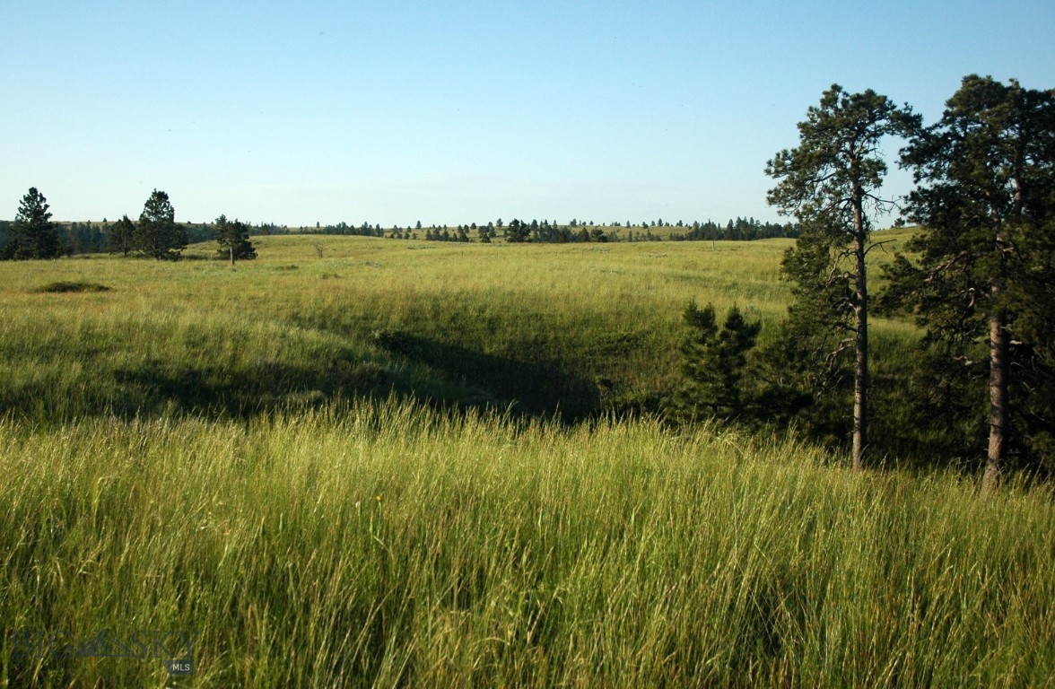 Other - Land