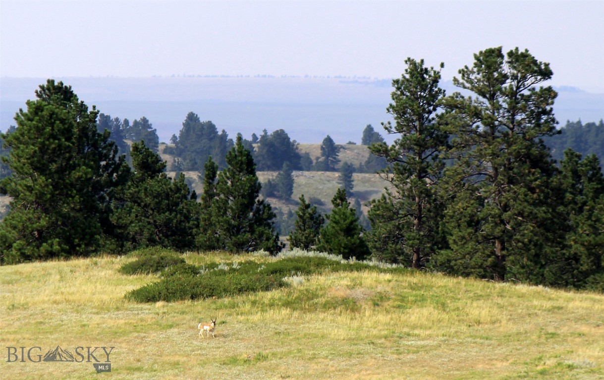 Other - Land