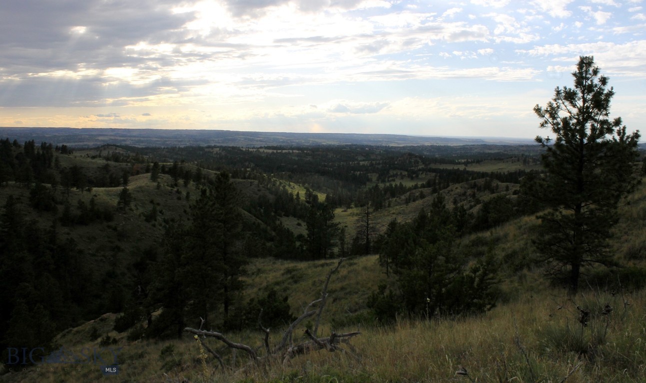 Other - Land