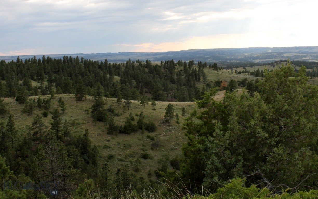 Other - Land
