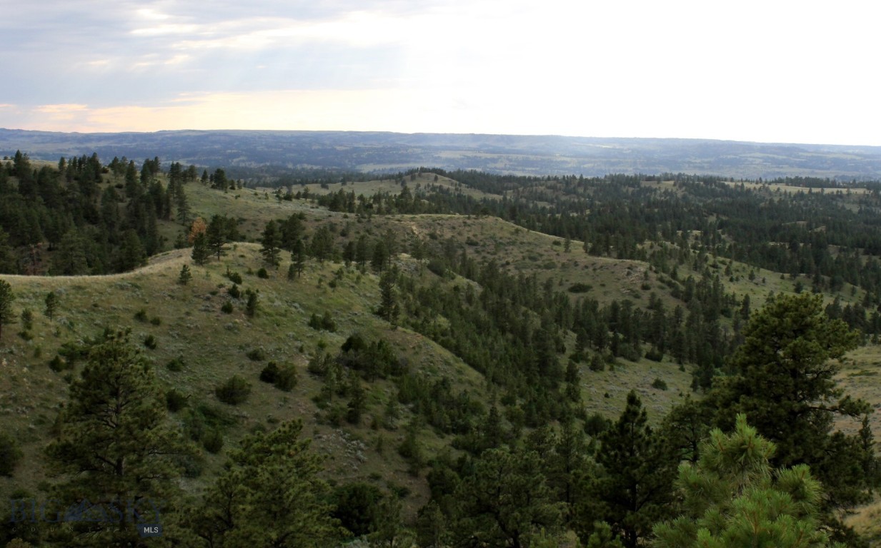 Other - Land