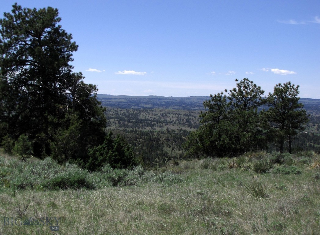 A majestic 174+- acres; located in Treasure County (population 765). Here lies a beautiful remote Montana escape perfect for your hunting or private cabin retreat. Located in the Pine Hills 80 miles east of Billings; an area known as the Hysham Hills in the Sarpy Creek valley, it is a perfect spot for a secluded hideaway or remote retreat, even a place for off-grid year-round living. Most of the property is fenced and there is insured access via private roads. You would be 3 miles off the Bear Creek County road or from the state highway about 5 miles. A well is already on site with a 7gpm and a new pump. Electricity is miles away, so solar or wind would be best for power. It is approximately 14 miles south of I-94, 20 miles from the community of Hysham (pop 200). Wildlife here includes mule deer, whitetails, Elk, antelope, turkeys, grouse, coyotes, even bears and cougars. The famous Yellowstone and Big Horn Rivers are a short drive away offering great fishing, boating and waterfowl hunting opportunities. Truly a beautiful area for peace and quiet offering you a escape from the city lights and rat race. Possible owner financing available.
