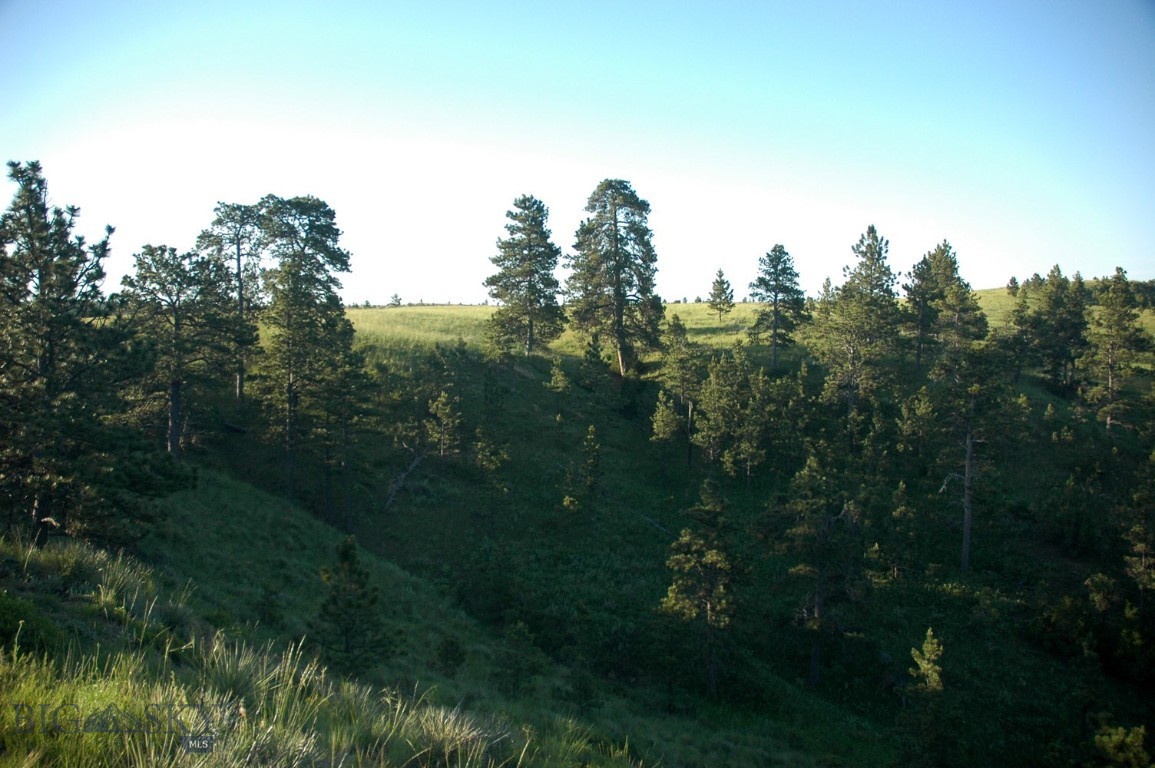 Other - Land