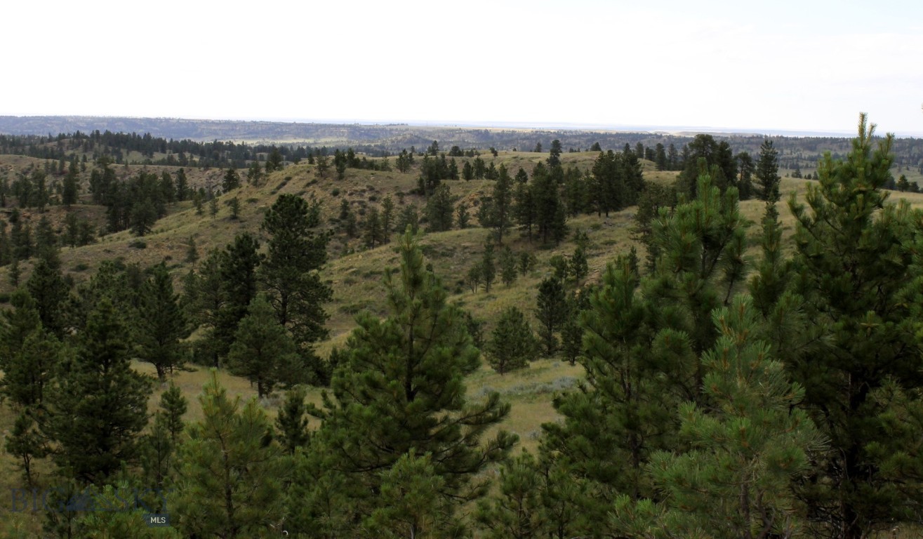 Other - Land