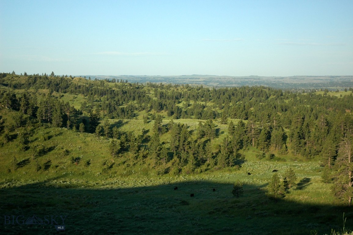 Other - Land