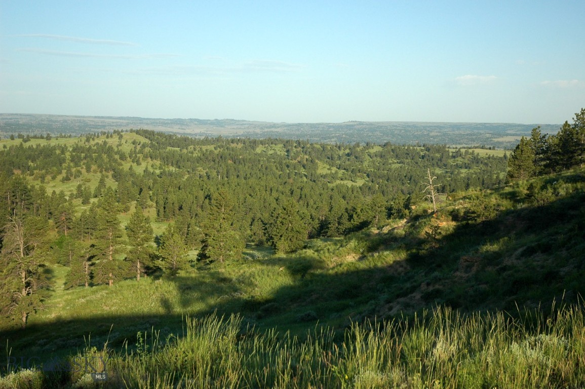 Other - Land