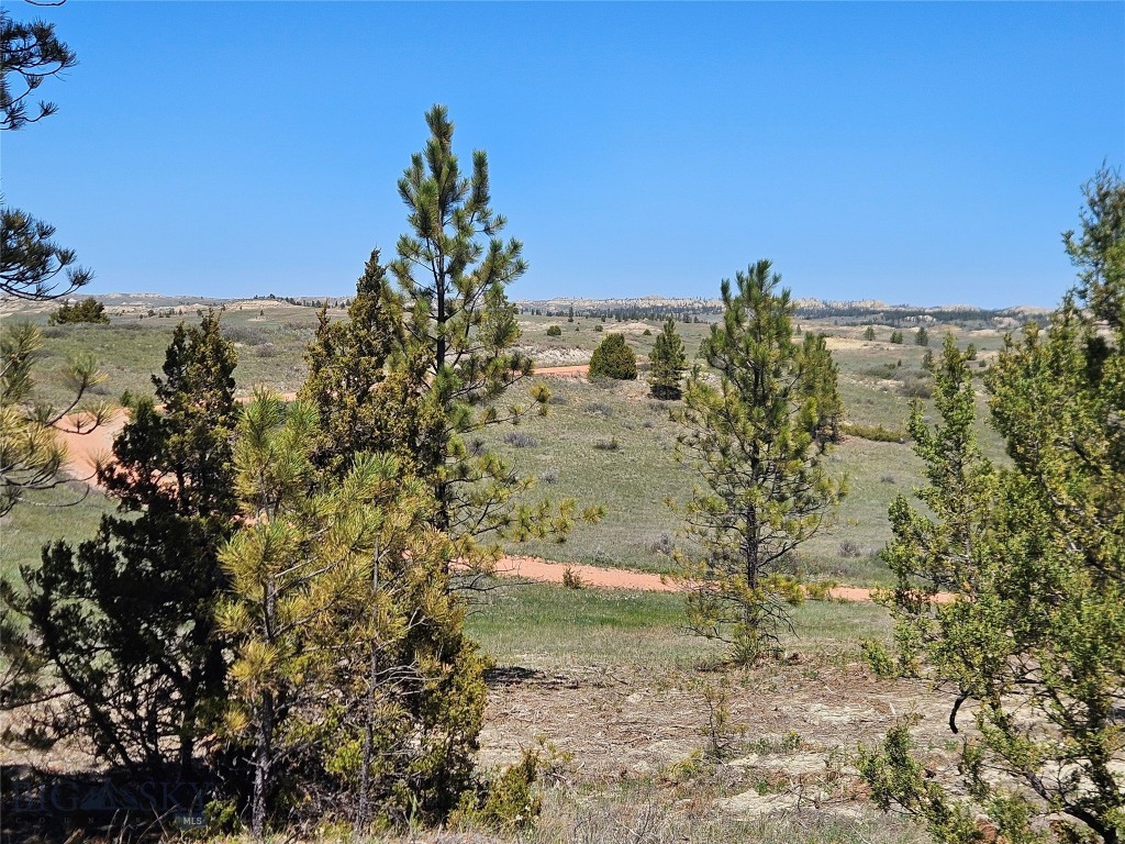 20.58 acres with views, trees, good roads, SELLER FINANCING, and bordering 120 acres of BLM land!  Located appx 45 minutes southwest of Miles City, Montana - a ranching & rodeo community.  The property has a rough structure on it and some cleanup work to be done.  Power & county road are approx 1/2 mile to the east.  Low price, seller finance, and cleanup work make this property a great opportunity.  20% down payment required for seller financing.  Ask for payment amounts, we are happy to share them!