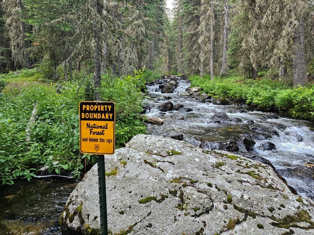 Extremely rare recreational property with South Boulder River frontage in the heart of the Tobacco Root Mountains bordering National Forest land with a leveled cabin site, fishing beyond compare, hunting, and mountain views you have to see to believe. This is an EXTREMELY RARE property right on the banks of the South Boulder River. It can’t be stressed enough what an incredible find this unique opportunity is to own property right out in the heart of the Tobacco Root Mountains, bordering tens of thousands of acres of National Forest lands. The Tobacco Root Mountains provide a mecca of recreation, from renowned fishing on the South Boulder River and all its pristine high-mountain lakes to hiking hundreds of miles of trails to ATVing the jeep roads to wildlife sightseeing and hunting to climbing the mountain peaks and everything in between. The area has it all, and owning this fantastic property will put every bit of it right at the back door of the cabin in the mountains you've always wanted to build. You’ll want to order a copy of the Beaverhead-Deerlodge National Forest – Central map to plan your days and weeks of hiking, fishing, hunting, biking, and ATVing. The Montana mountain wildflowers here are phenomenal. There’s so much to see and enjoy. The views are breathtaking, and the setting is one you’ll have to see and experience to believe. Build your cabin right near the edge of the South Boulder River, where you can see the river and easily access the tumbling waters and hear the sounds of Mother Nature pouring by 24 hours a day, 7 days a week. Or for now, just pull your camper in or put up your tent and start enjoying this amazing setting right away. You can fish for cutthroat and brook trout right in the river on your very own property, then go up and down the river onto all the National Forest lands and keep right on fishing. The river pours right out of numerous high mountain lakes that are chock full of trout. Lakes like Brannan Lake, Sailor Lake, Lake Louise, Lost Cabin Lake, Globe Lake, and more are all here to be fished and enjoyed. These are high mountain lakes that are pristine and picturesque, with the mountain peaks jutting up right from their shores. It’s the perfect background setting for your high mountain South Boulder River recreational property. Enjoy it all. This will be your legacy property you hand down for generations to come, and your family will be glad you took advantage of this amazing opportunity when you did.