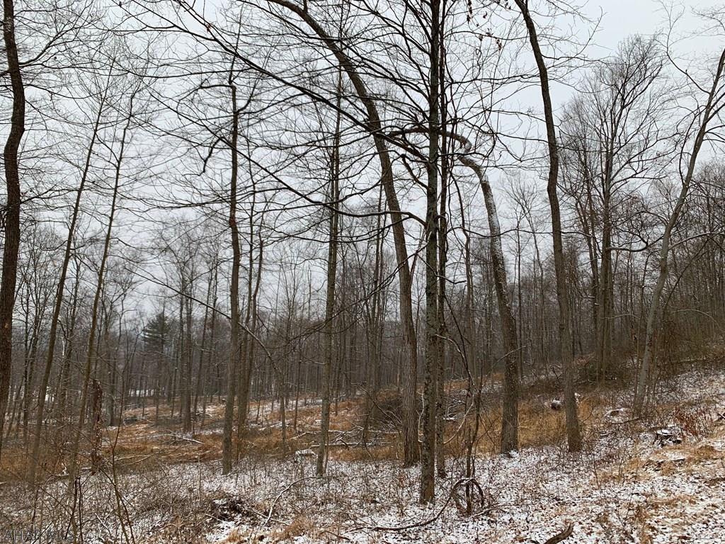 Other - Land