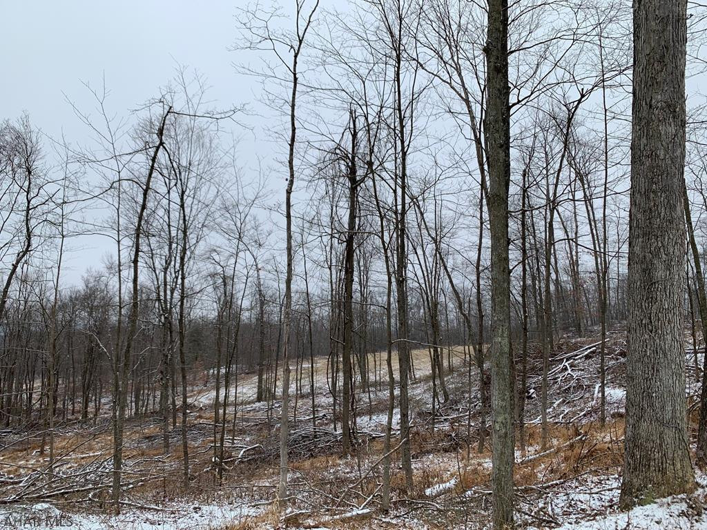 Other - Land