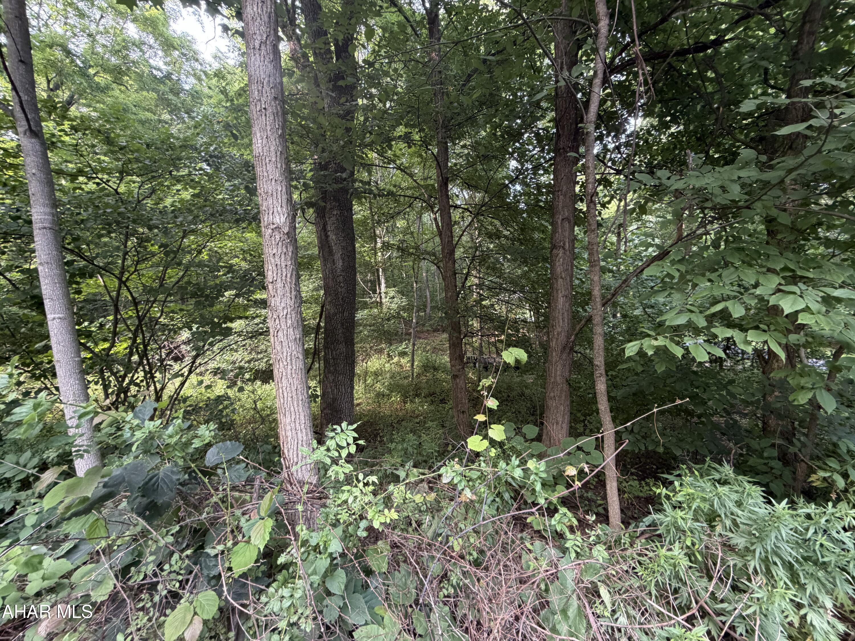Other - Land