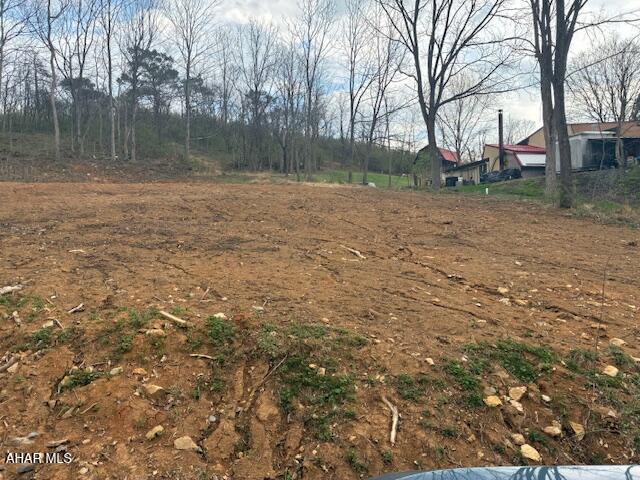 None - Land