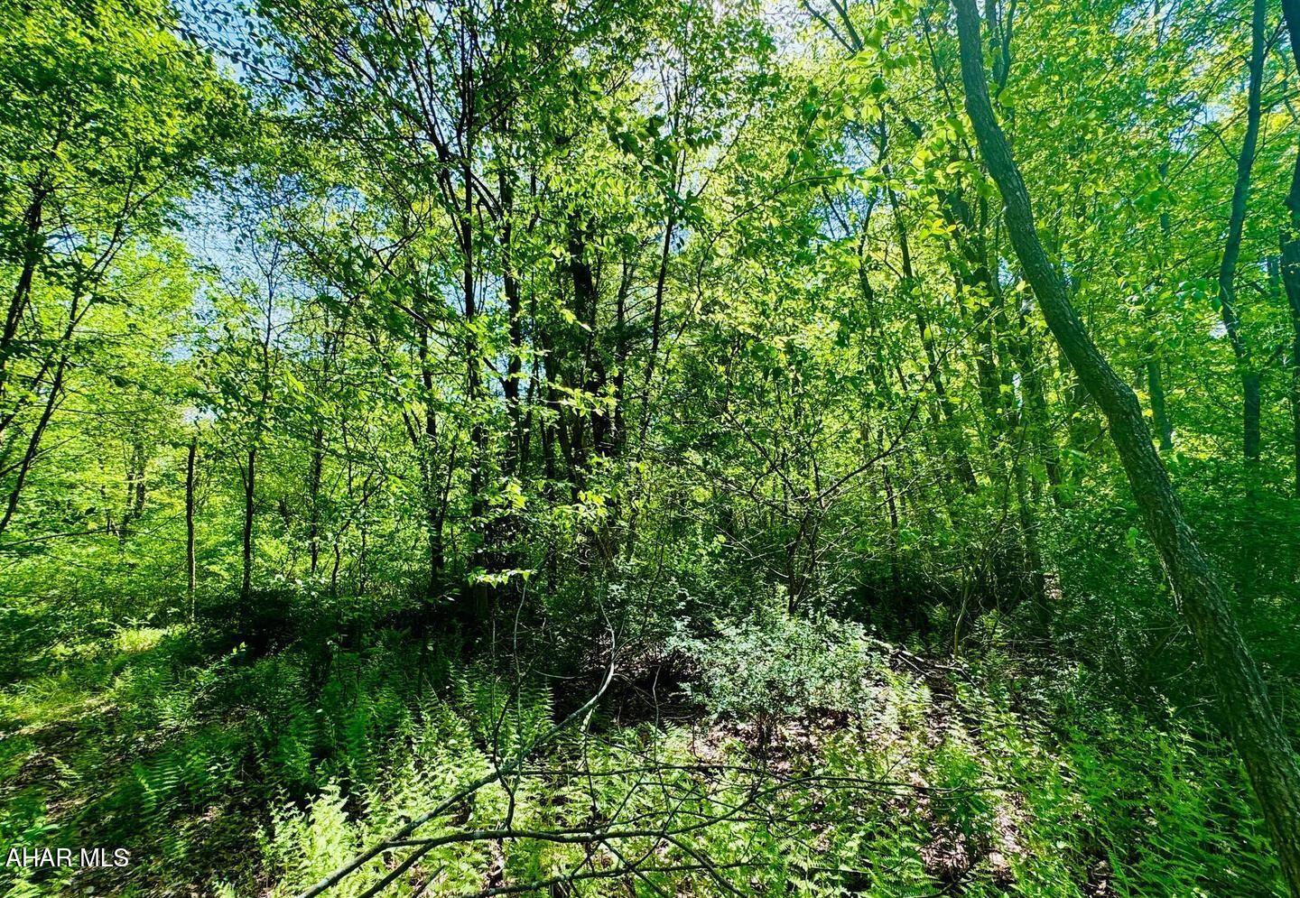 Other - Land
