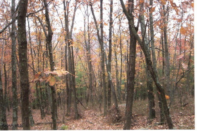 34.12+/- acres of hunting ground close to the MD border. Peace and quiet mountain land. Own your own piece of paradise. Buyer will need to have a survey.