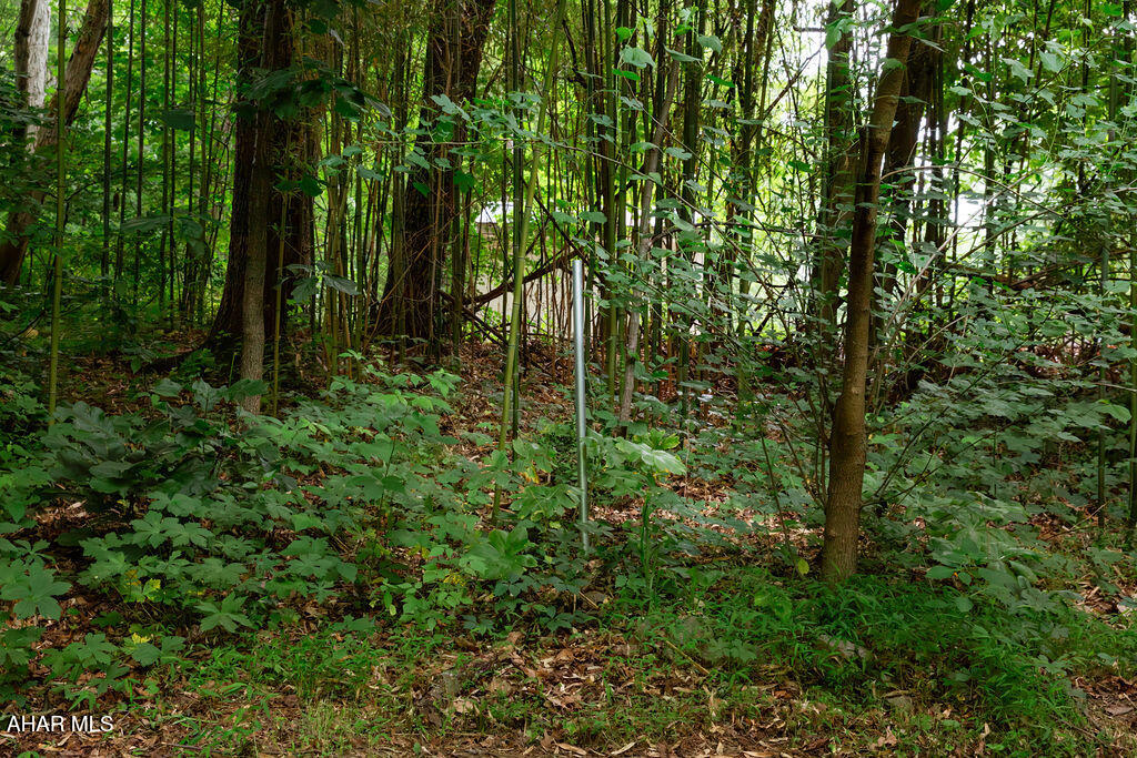 None - Residential